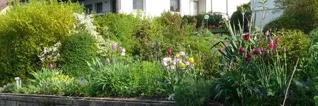 Blumenbeet.webp