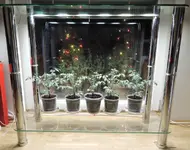 DSCN3612.2.webp