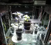 DSCN3615.2.webp