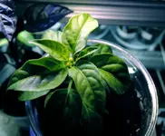 DSCN3618.2.webp