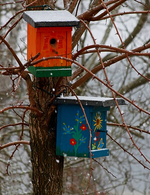 Vogelhaus_multicolor_minimalsm_detail_Schnee_600.webp
