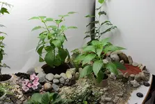 lk_reno_2.webp