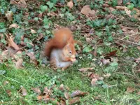 CIMG9887.webp