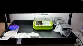 20150125_193327.webp