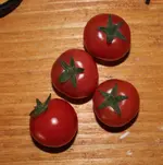 1.webp