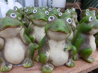 P1270251.webp
