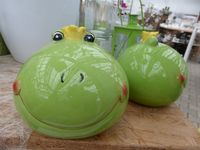 P1270242.webp
