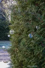 IMG_2489.webp