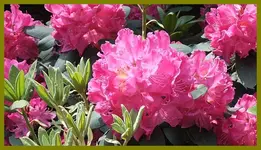026.webp
