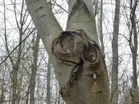 P1270200.webp