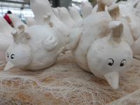 P1270250.webp