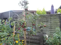 DSCN3101.webp
