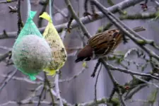 DSCN5726.webp