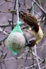 DSCN5729.webp