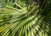 IMG_4786v.webp