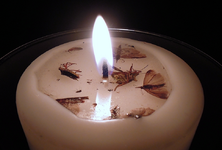 white (15).webp