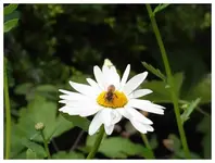 086.webp