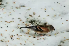 DSCF9899 (2).webp