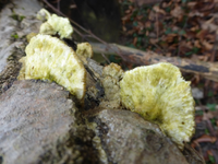 P1270180.webp