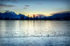 12.webp