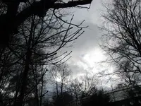 Pic 024.webp
