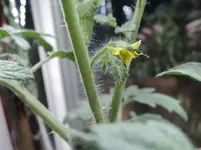DSCN3726.2.webp