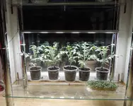DSCN3730.2.webp