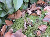 DSCN0159.webp