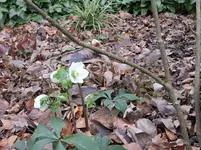 DSCN0160.webp