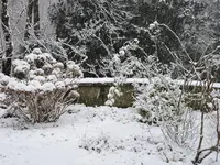 DSCN0165.webp