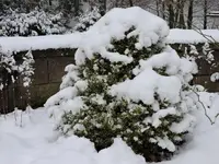 DSCN0178.webp