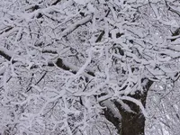 DSCN0169.webp