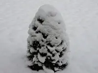DSCN0180.webp