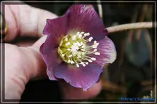 comp_DSC02630.webp