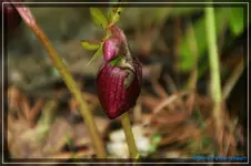 comp_DSC02629.webp
