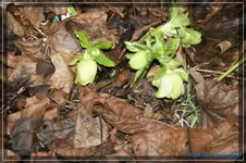 comp_DSC02643.webp