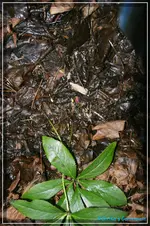 comp_DSC02645.webp