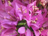 IMG_1139.webp