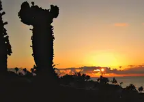 IMG_0592-001.webp