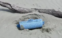 Rabbit Island 4.1.2015 (66)v.webp