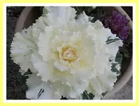 017.webp