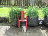 IMG_8716v.webp
