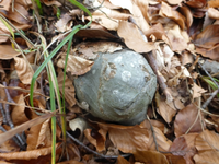 P1270166.webp