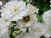 IMG_1357-001.webp