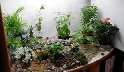 lk_reno_3.webp