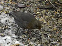 DSCN6367.webp