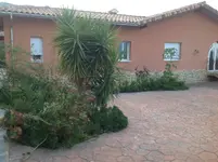 Garten Ende Januar 4.webp