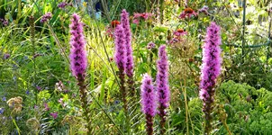 DSCN3328.webp