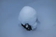 DSCF9950.webp