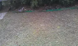 IMAG1605.webp